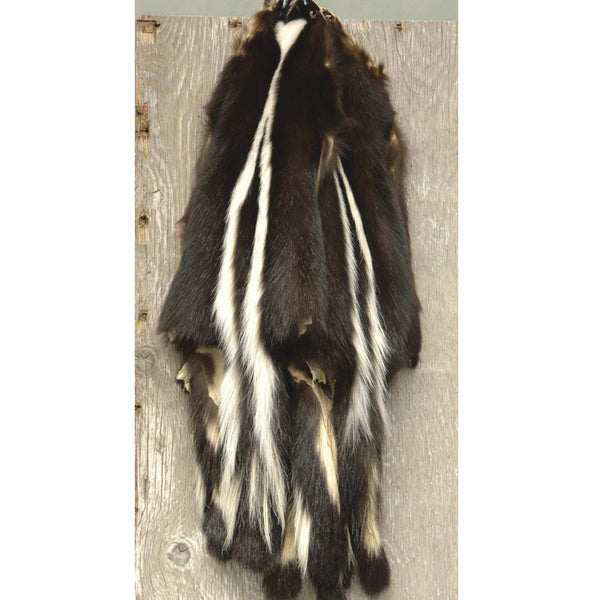 Dressed Skunk Skins