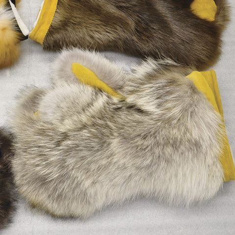 Coyote Gauntlets